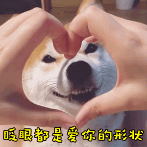 柴犬爱心手眨眼动图