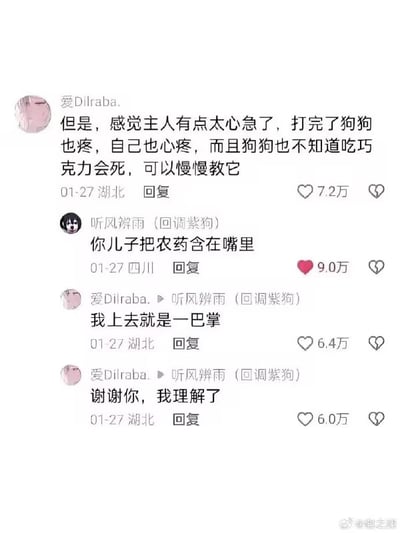 这是一张社交媒体评论区的静态截图，内容围绕狗狗偷吃巧克力被主人打一事展开讨论：网友爱Dilraba.发文称觉得主人太心急，狗狗不知道吃巧克力会致死，可以慢慢教导，没必要让狗狗和自己都难受；网友听风辨雨（回调紫狗）用“你儿子把农药含在嘴里”做类比反问，点醒了对方；爱Dilraba.立刻反应过来，秒懂这种紧急情况不可能慢慢教，表示换做自己也会立刻一巴掌打下去，感谢对方让自己理解了原主人的做法；四条评论分别获得了7.2万、9.0万、6.4万、6.0万的点赞，这段对话因巧妙的换位思考说服获得了大量网友认可。