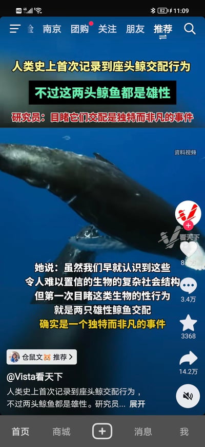 这是一张抖音平台的竖屏视频截图，内容为@Vista看天下发布的新闻资讯，报道了人类史上首次记录到两头雄性座头鲸的交配行为。截图上方是醒目的标题文字，依次为“人类史上首次记录到座头鲸交配行为”“不过这两头鲸鱼都是雄性”“研究员：目睹它们交配是独特而非凡的事件”；中间是座头鲸在海中的资料视频画面；下方是字幕文字，引用研究员的表述，提到座头鲸有着复杂的社会结构，此次目睹雄性座头鲸交配是独特事件。截图右侧显示抖音的互动数据：8.1万点赞、3.4万评论、3368收藏、14.2万转发，底部是抖音的首页、商城等导航栏，顶部导航显示当前定位为南京。