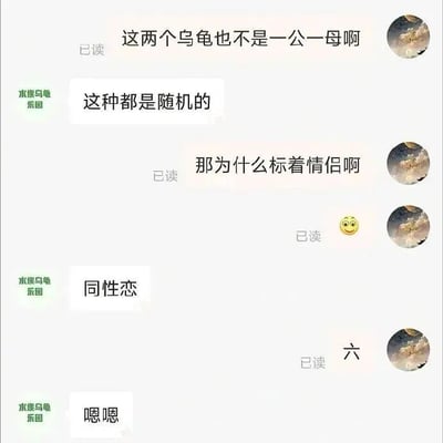 这是一张聊天记录静态截图，记录了顾客与名为“水族乌龟乐园”的商家之间的趣味对话。顾客发现自己购买的标注为“情侣龟”的两只乌龟并非一公一母，于是向商家提出疑问：“这两个乌龟也不是一公一母啊”，商家回复“这种都是随机的”，顾客继续追问“那为什么标着情侣啊”，并发送了一个眨眼笑脸表情。商家给出了一个荒诞无厘头的回答“同性恋”，顾客用一个“六”字表达自己的无语，商家还回复了“嗯嗯”，整个对话用一种搞笑的方式回应了顾客的质疑，充满了反差感和趣味性。
