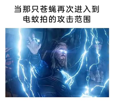 这是一张充满趣味的图文梗图，上方配文“当那只苍蝇再次进入到电蚊拍的攻击范围”，下方选用了漫威电影《复仇者联盟》中雷神托尔释放雷电力量的经典场景截图，图中的雷神双眼发光，周身环绕着大量蓝色雷电，姿态充满力量感。该梗图将日常打苍蝇的场景夸张化，把手持电蚊拍的人比作掌控雷电的雷神，用超级英雄式的仪式感来表现人们对烦人的苍蝇的“复仇”心态，通过反差感制造出诙谐搞笑的效果，十分贴合日常生活中人们被苍蝇骚扰后的情绪。