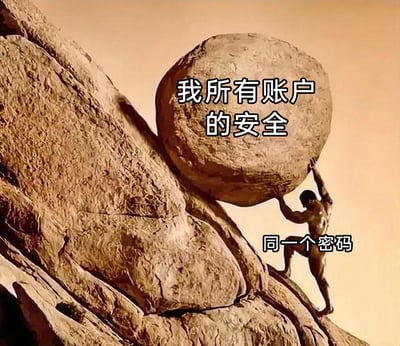 这是一张基于希腊神话西西弗斯推石场景创作的吐槽类P图，画面中陡峭的山坡上，西西弗斯正拼尽全力将一块巨大的石头往山顶推送，巨石被标注文字“我所有账户的安全”，西西弗斯则被标注文字“同一个密码”。图片以此讽刺人们为了图省事，给所有网络账户设置同一个密码的行为，将所有账户的安全重担压在这一个密码上，就像西西弗斯永远在做徒劳又艰难的推石工作一样，这种做法让账户安全时刻处于高风险、费力维系的状态。