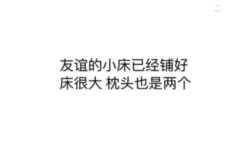 图片为纯文字内容，显示“友谊的小床已经铺好 床很大 枕头也是两个”。文字简洁直白，可能用于朋友间调侃或邀请同住，营造轻松幽默的氛围，无明显双关或谐音梗。