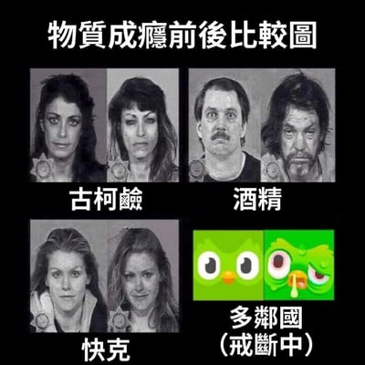 图片以四格对比形式呈现，标题为'物质成瘾前后比较图'。左上为'古柯碱'成瘾前后女性照片对比，右上为'酒精'成瘾前后男性照片对比，左下为'快克'成瘾前后女性照片对比，右下为'多邻国 (戒断中)'，左侧是正常的绿色猫头鹰图标，右侧是流泪、舌头伸出的痛苦表情猫头鹰，幽默调侃多邻国用户对学习软件的'成瘾'及戒断反应。