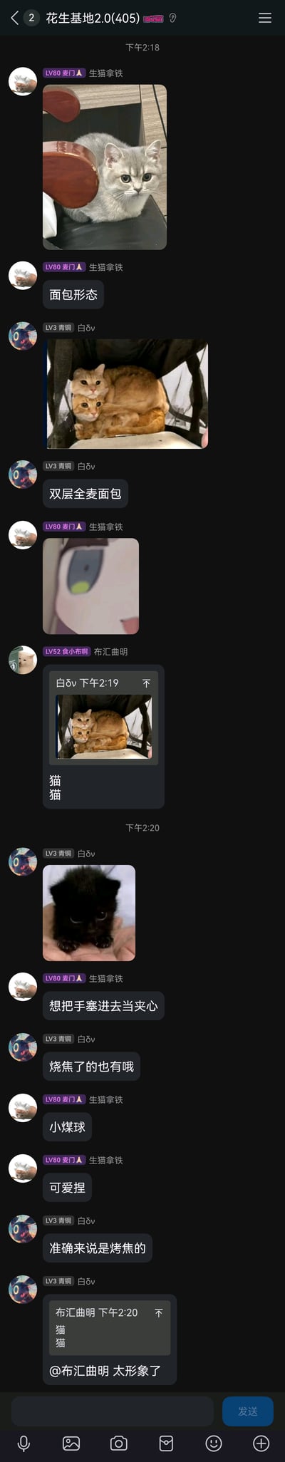 这是一张QQ群聊（群名“花生基地2.0(405)”）的竖屏截图，记录了群内成员围绕“猫咪像面包”的趣味主题展开的轻松互动。用户“生猫拿铁”首先分享一只蜷缩成一团的灰色猫咪，将其比作“面包形态”；用户“白δv”紧接着分享两只叠在一起的橘猫，调侃为“双层全麦面包”；随后“生猫拿铁”发送卡通猫咪表情，“布汇曲明”转发橘猫图配文“猫猫”；之后“白δv”分享一只黑色小猫咪，成员们延续玩梗思路，将小黑猫比作“烧焦的面包”“小煤球”，还打趣“想把手塞进去当夹心”，最后“白δv”赞同“布汇曲明”的“猫猫”描述十分形象，整个互动充满治愈感和趣味性，用食物比喻展现猫咪的可爱形态，体现了群友间轻松的日常氛围。