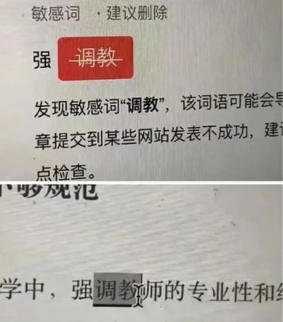 图片展示了一个敏感词检测系统的界面截图，分为上下两部分。上部分显示系统检测到敏感词“调教”并建议删除，其中“调教”二字被红色按钮突出显示；下部分展示该词语在“强调教师的专业性”句子中被部分高亮的场景。整体呈现了内容发布平台对特定词汇的审核机制。