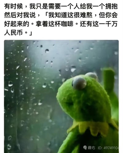 这是一张图文拼接的搞笑梗图，采用顶配底文的形式，顶部文字先是表达了低落时想要获得他人拥抱和情绪安慰的诉求，后半段突然反转，增加了“拿着这杯咖啡、还有一千万人民币”的无厘头物质许愿内容；下方配图是经典布偶角色科米蛙侧身站在落满雨滴的玻璃窗前，神情落寞，整体将当代人既想要情绪价值又渴望获得物质支持的心态用夸张反转的方式呈现，充满笑点。