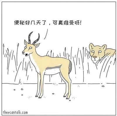 漫画中一只黄色羚羊站在草丛中，头上有黑色弯曲的角，嘴巴张开，上方有对白气泡写着“便秘好几天了，可真难受呀!”。羚羊表情苦恼，身体直立。右侧草丛中，一只母狮探出头来，眼睛睁大，表情惊讶地注视着羚羊。背景为简单的草丛线条，地面有少量石子。整体风格为简约卡通线稿，画面简洁明了。
