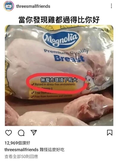 一张社交媒体截图，展示了一包Magnolia品牌的鸡胸肉，包装上标注着“无压力环境下长大”。图片上方配有文字“当你发现鸡都过得比你好”，通过对比鸡肉的“无压力生活”与现代人的生活压力，制造出幽默自嘲的效果。