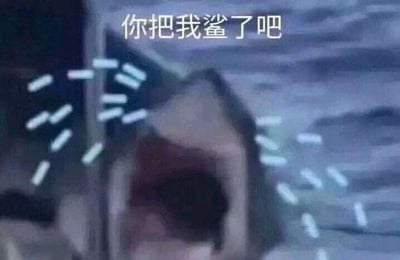 图片中央呈现一个深色的类似鲨鱼嘴的开口结构，周围环绕着白色飞溅状线条（疑似模拟水花效果），图片顶部叠加白色文字'你把我鲨了吧'。其中'鲨'（shā）与'杀'（shā）谐音，形成幽默的语言游戏，实际表达的是'你把我杀了吧'的夸张情绪，常用于网络语境中表达强烈的无奈或崩溃感。