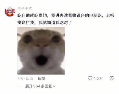 这是一张竖幅排版的社交媒体评论截图，顶部显示发布评论的用户名为“电子干扰”，带有用户头像，评论正文内容为“吃自助就吃贵的，我进去逮着收银台的电脑吃，老板拼命拦我，我就知道我吃对了”，正文下方配有一张模糊的猫咪表情包：猫咪瞪大双眼、大张嘴巴，呈现出十分震惊错愕的状态。截图底部标注该评论发布地点为山西，发布时间为7月6日，显示该评论收获4.0万赞，共有564条回复；内容对应标题的“食铁生”谐音梗，也就是吃铁，呼应吃含金属的电脑的离谱发言，搭配震惊猫猫图形成了搞笑效果。