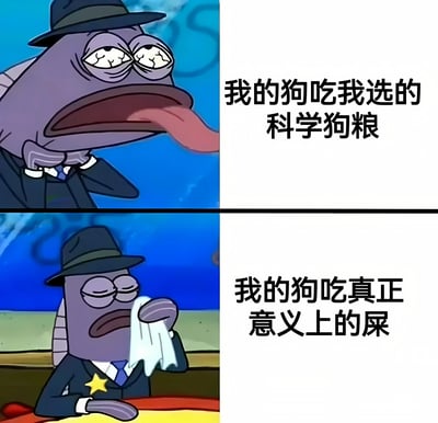 这是一张上下两格的连环图文混排梗图。上格中，《海绵宝宝》中的鱼警察角色戴着黑帽、穿着西装，双眼布满血丝，舌头外伸，表情疲惫，右侧配文“我的狗吃我选的科学狗粮”。下格中，同一角色用手帕擦着脸，眉头紧锁，显得十分崩溃，右侧配文“我的狗吃真正意义上的屎”。通过强烈的对比制造幽默效果，展现宠物主人精心准备食物却不如动物本能选择的无奈场景。
