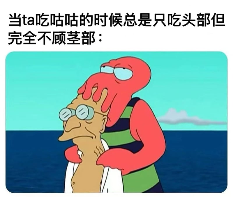 飞出个未来