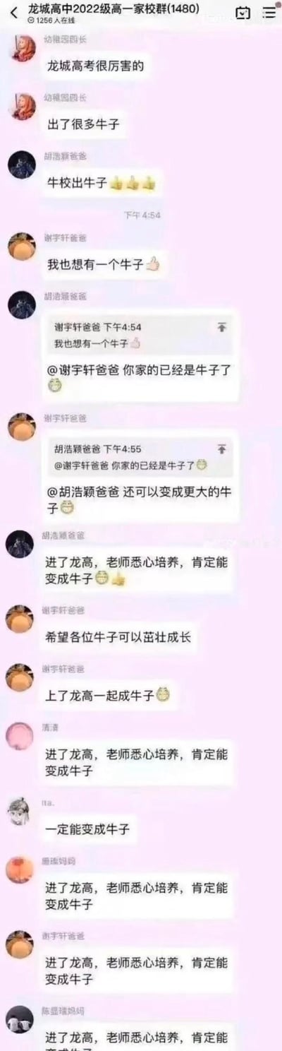 这是龙城高中2022级高一家校群的微信聊天记录截图，群内家长围绕学校教学展开交流：“幼稚园园长”先提到龙城高考厉害，出了很多“牛子”，这里是对“牛娃（优秀学生）”的谐音误用；随后家长们纷纷接话，互相调侃自家孩子，还接龙表示进了龙高会被培养成“牛子”，整个对话氛围欢乐。
双关说明：在网络语境中“牛子”带有低俗含义，和家长们想表达的“优秀孩子”形成强烈反差，造就了搞笑的效果。