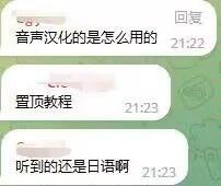 这是一段竖屏的聊天记录截图，对话内容围绕音声汉化展开：先是用户询问“音声汉化的是怎么用的”，随后出现“置顶教程”的提示，最后用户反馈“听到的还是日语啊”，呈现出用户在使用音声汉化功能时遇到问题的场景。