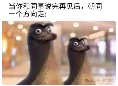 图片上方配有文字“当你和同事说完再见后，朝同一个方向走:”，下方是《冰河世纪》中的两只渡渡鸟角色，它们瞪着圆圆的大眼睛，表情惊讶地相互对视，背景为模糊的室内场景（疑似商场或走廊）。整体通过动画角色的尴尬表情，生动展现了与同事道别后却同路而行的社交尴尬场景，内容幽默且贴近日常职场生活。