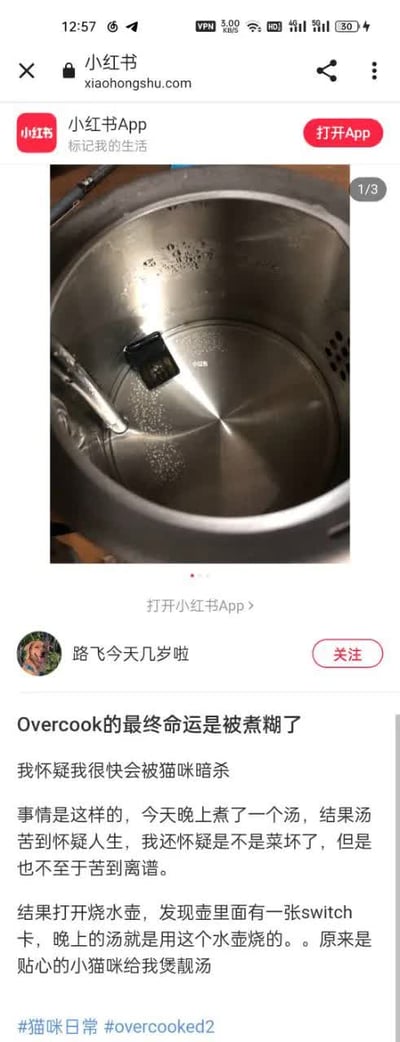 小红书用户分享的生活趣事截图，画面中是一个不锈钢烧水壶，壶底放着一张Switch游戏卡。配文讲述自己煮的汤异常苦涩，最终发现是猫咪将《Overcooked》游戏卡放进了烧水壶，导致煮出“苦汤”的搞笑经历。文中“Overcook的最终命运是被煮糊了”使用了游戏名《Overcooked》（胡闹厨房）的谐音梗，将“cook”（烹饪）与“煮糊”结合，幽默表达游戏卡被“烹饪”的意外结局。
