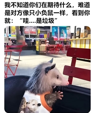 图片上方配有文字“我不知道你们在期待什么，难道是对方像只小负鼠一样，看到你就：‘哇...是垃圾’”，下方是一只穿着印有自身头像背心的小负鼠，正坐在黑色包里向外张望。背景是户外广场，有红色桌椅和模糊的广告牌，整体营造出一种幽默调侃的氛围，通过拟人化小负鼠的反应来制造笑点。
