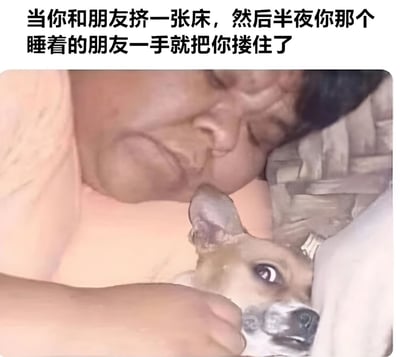 图片上方配有文字‘当你和朋友挤一张床，然后半夜你那个睡着的朋友一手就把你搂住了’，下方是一张真实照片：一名睡着的人用手臂紧紧搂住一只小狗，小狗则睁大眼睛，表情显得有些惊恐和警觉，生动还原了朋友半夜无意识搂抱时自己的无奈与震惊状态。