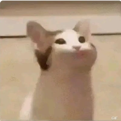 一只白色的猫仰头向上看的GIF动图，猫的耳朵有黑色斑纹，表情看起来有些好奇。背景是简单的浅色墙面，图片右下角有'GIF'标识。