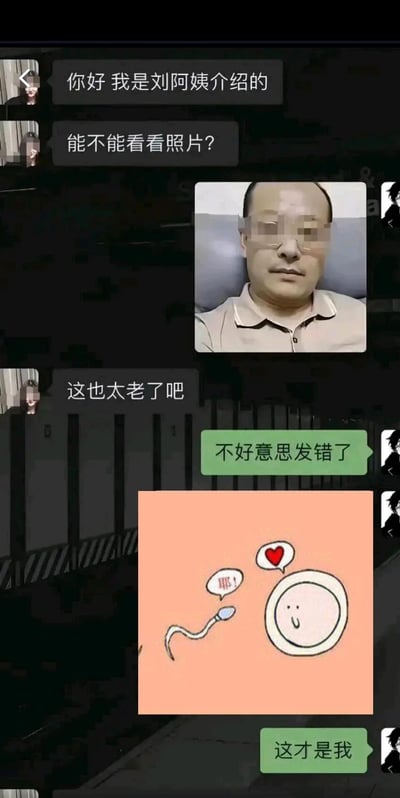 这是一张竖屏的微信聊天记录截图，记录了一段趣味相亲对话：女方表明自己是刘阿姨介绍的相亲对象，向男方索要照片；男方先发送了一张看起来年纪较大的男士照片，女方直接吐槽“这也太老了吧”；随后男方回复“不好意思发错了”，紧接着发送了一张卡通风格的、描绘精子和卵子的图，并配文“这才是我”，用玩梗的方式幽默回应女方的吐槽，制造出荒诞搞笑的效果，属于网络上流行的相亲整活类趣味内容。