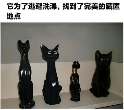 图片展示了一个白色的架子，上面摆放着三个黑色的猫形摆件和一只真实的黑猫。黑猫与摆件颜色和姿态相似，完美融入其中，达到了藏匿的效果。图片上方配有文字“它为了逃避洗澡，找到了完美的藏匿地点”，通过猫咪利用环境隐藏自己的场景，营造出幽默可爱的氛围。