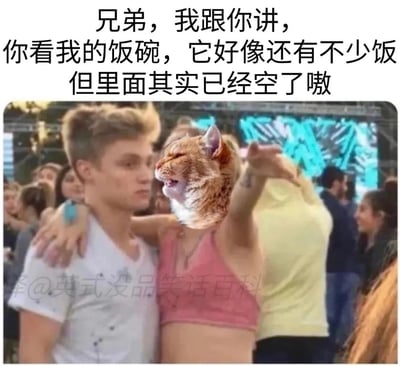 这是一张经过人脸替换合成的搞笑表情包，画面中一位穿粉色上衣的人物头部被替换成橘猫的脸，它搭着旁边穿白色上衣男生的肩膀，手指向前方，橘猫的面部表情看起来像是在激动地吐槽。图片上方配有文字：“兄弟，我跟你讲，你看我的饭碗，它好像还有不少饭但里面其实已经空了嗷”，用“看似有饭实则空了的饭碗”来比喻打工人看似还有工作价值或薪资可观，实则已经没有剩余价值或实际收入微薄的心酸处境，以幽默戏谑的方式抒发打工人的无奈与自嘲，图片下方带有水印“@英式没品笑话百科”。
