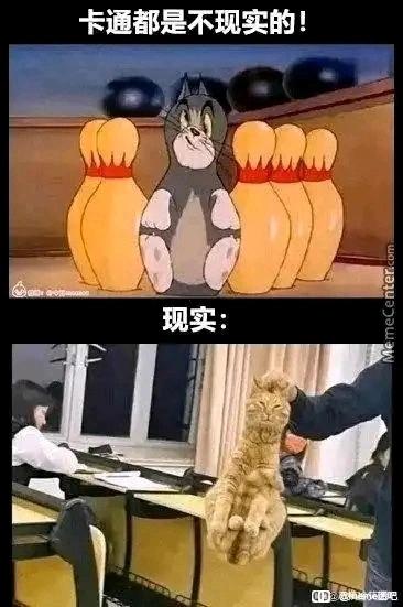这是一张上下结构的对比梗图，上方是经典动画《猫和老鼠》中的汤姆猫，它被夹在保龄球瓶中间，摆出双腿分开、双手搭在腿上的姿势，配文“卡通都是不现实的！”；下方是现实场景里的一只橘猫，被人拎起后恰好呈现出和汤姆猫完全一致的姿势，配文“现实：”。通过这种卡通场景与现实巧合的强烈反差，打破了“卡通姿势不现实”的预设，制造出十足的搞笑效果，展现了现实中猫咪的柔软和巧合的趣味性。
