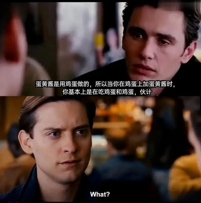 图片为上下两格的电影剧照对比图。上格中，Harry Osborn（詹姆斯·弗兰科 饰）正认真对他人解释：“蛋黄酱是用鸡蛋做的，所以当你在鸡蛋上加蛋黄酱时，你基本上是在吃鸡蛋和鸡蛋，伙计”；下格中，Peter Parker（托比·马奎尔 饰）露出困惑的表情，下方字幕显示“What?”。通过荒诞的逻辑调侃“在鸡蛋上放蛋黄酱等于吃双重鸡蛋”的有趣发现，营造出幽默效果。