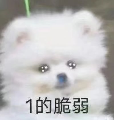 一张特写的模糊小白狗照片，狗狗毛发蓬松雪白，圆溜溜的大眼睛泛着水光，眼神无辜又惹人怜爱。图片底部配有黑色文字“1的脆弱”，形成萌宠与文字的反差萌，可能用于表达某种脆弱或需要呵护的情绪。