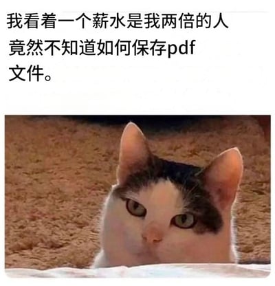 这是一张打工人职场吐槽类表情包，图片上方配有文字“我看着一个薪水是我两倍的人竟然不知道如何保存pdf文件。”，下方是一张实拍的花斑猫咪照片，猫咪额头两侧带有黑斑，从遮挡物后探出头，眼神紧绷，带着难以置信、震惊又疑惑的情绪看向镜头，整体表达了打工人对职场中“薪资倒挂、高薪者不具备基础工作能力”现象的吐槽与不满。