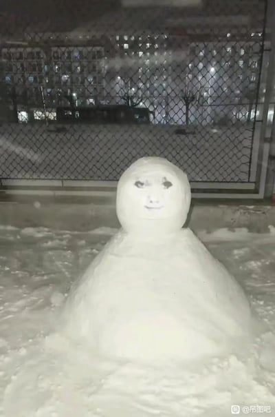 这是一张夜晚户外拍摄的照片，主体是一个造型另类的雪人：雪人的头部被塑造成圆润的球形，头部表面带有一个类似人脸的图案，呈现出有眼睛和嘴巴的诡异表情，雪人底部是一个宽大的雪堆底座。背景是带有铁丝网的围栏，围栏后方是亮着灯光的居民楼，地面有积雪和结冰，整体在夜晚环境下显得氛围奇特，充满搞笑又诡异的趣味感。