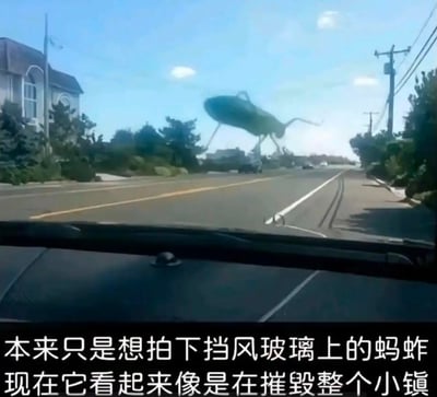 这是一张从汽车内拍摄的趣味照片：一只小螳螂停在汽车挡风玻璃上，因为近大远小的视觉错位效果，看起来像是道路尽头有一只巨型螳螂正在“肆虐”小镇。图下配文：“本来只是想拍下挡风玻璃上的蚂蚱，现在它看起来像是在摧毁整个小镇”，文字里把螳螂误写成蚂蚱，更添荒诞感，制造出强烈的搞笑反差。
