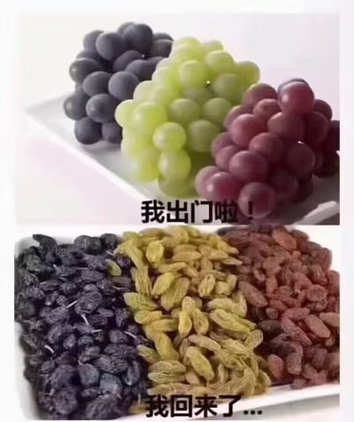 这是一张上下结构的对比梗图，上半部分展示了放在白色盘子里的三串饱满水润的新鲜葡萄，从左到右分别为黑葡萄、青提、红提，下方配字“我出门啦！”；下半部分是同一个盘子里对应的三种葡萄干，分别是黑加仑干、绿葡萄干、红葡萄干，形态干瘪皱缩，下方配字“我回来了...”。图中用新鲜葡萄被暴晒后变成葡萄干的变化，生动调侃了人们在炎热夏日出门后被太阳晒到蔫、状态大幅变差的情况，画面反差感强，趣味十足。