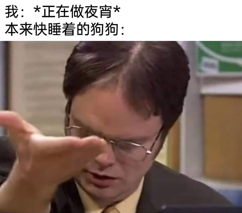 德怀特·施鲁特