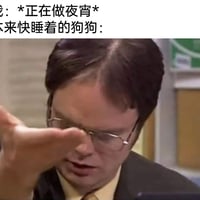 德怀特·施鲁特