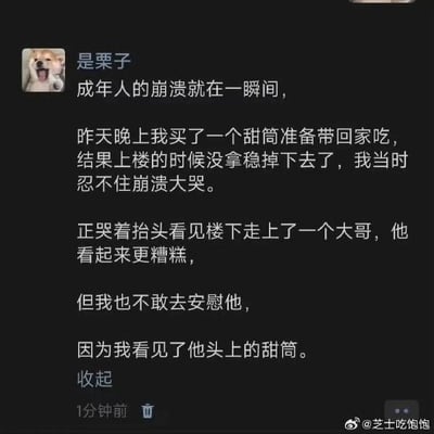 这是一张微博平台的用户动态截图，博主「是栗子」以Doge柴犬表情包作为头像，分享了自己的搞笑生活经历：买了甜筒准备带回家，上楼时没拿稳导致甜筒掉落，因此忍不住崩溃大哭；正哭着抬头却看见楼下走来一位头上沾着甜筒的大哥，状态看起来比自己更糟糕，博主也因此不敢上前安慰。这段内容用充满巧合的情节，将成年人因小事崩溃的瞬间和搞笑的意外结合，既带着一丝心酸又充满喜剧效果，没有双关、谐音梗等内容。
