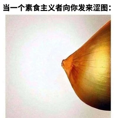 图片上方配有文字“当一个素食主义者向你发来涩图：”，下方是一张特写的洋葱切片照片。通过将“涩图”这一通常与性感内容相关的词汇，与素食主义者常吃的洋葱进行关联，利用洋葱切片的形状和质感制造幽默反差，达到调侃和搞笑的效果。