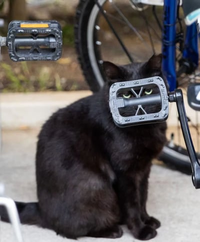 一只纯黑色的猫咪静坐于地面，面部被一个黑色的自行车脚踏板意外“卡住”，脚踏板的框架正好罩住猫咪的口鼻，仅露出一双圆溜溜的绿色眼睛，眼神中透着几分无奈与警惕。猫咪身后停放着一辆蓝色自行车，车轮和部分车身清晰可见，背景有模糊的草地和地面，整体画面充满生活气息与趣味性。这是一张真实拍摄的照片，无任何文字或水印，展现了宠物与日常物品间的搞笑意外场景。