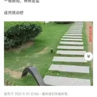 这是一张利用特殊角度拍摄的视觉错位照片：草坪上的石板步道旁的金属扶手，从当前视角看去，仿佛是一把把“刀”被依次“递”在石板的位置，搭配图中的文字“一给我里，两给我里 递刀速度快”，玩了节奏谐音与视觉错位的双重梗，将日常场景变得充满趣味，营造出搞笑的效果，仿佛在快速“递刀”，脑洞十足。