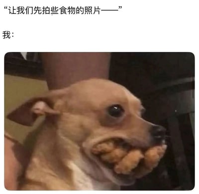 图片上方配有文字“让我们先拍些食物的照片——”和“我：”，下方是一张小狗的照片。这只棕色的小狗嘴巴里塞满了食物，眼睛睁大看向一侧，表情显得十分急切。图片通过将“先拍照再吃”的常见场景与小狗迫不及待想吃的样子结合，幽默地表现了人们面对美食时想立刻享用而非先拍照的真实心情。
