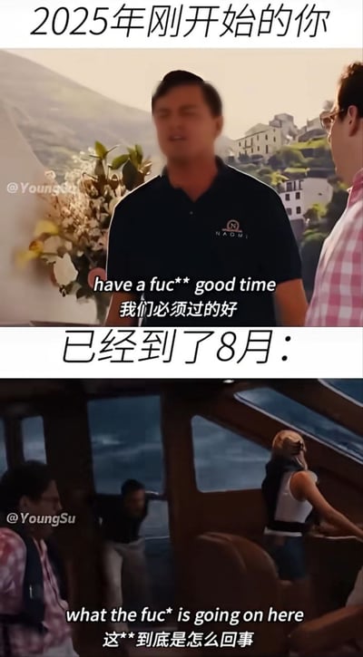 这是一张上下对比形式的网络梗图，上半部分配文“2025年刚开始的你”，搭配莱昂纳多在《华尔街之狼》中意气风发的画面，配中英双语文字表示年初立下要过好一整年的美好期许；下半部分配文“已经到了8月：”，搭配同电影中人物混乱震惊的画面，配中英双语吐槽文字，调侃时间过得太快，到了年中大家发现生活状态和年初预期完全不符，整个人处于混乱困惑的状态，用强烈的反差感精准戳中大众普遍的年中心态。