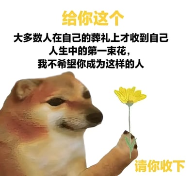 图片中是一只卡通风格的柴犬，它正用爪子捧着一朵黄色的小花，表情温和真诚。图片上方有黄色文字“给你这个”，中间是黑色文字“大多数人在自己的葬礼上才收到自己人生中的第一束花，我不希望你成为这样的人”，底部有黄色文字“请你收下”。整体通过柴犬送花的温馨画面结合文字，传递出希望对方能在生前收到鲜花、被温柔对待的情感。