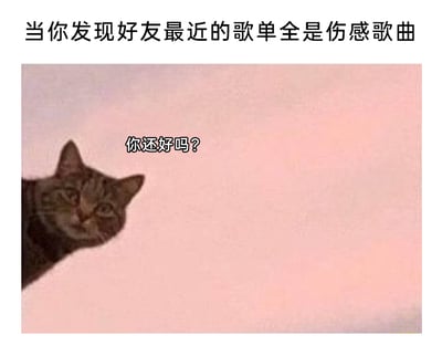 这是一张文字加注的静态单图，画面上方配有文字“当你发现好友最近的歌单全是伤感歌曲”，引出日常中察觉好友情绪变化的场景；下方是一只从画面左侧探出头的猫咪，猫咪上方配有文字“你还好吗？”。整张图用猫咪的形象来代表关心好友的人，传递出当察觉到好友情绪可能低落时，那种小心翼翼又充满温柔的关心，十分贴合日常中朋友间默默在意对方情绪、用含蓄方式表达关怀的状态，是很能引起共鸣的情感类表情包。
