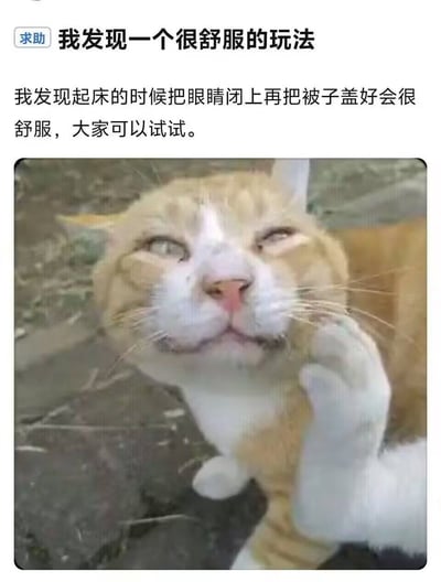 这是一张幽默梗图，上方配有文字'求助 我发现一个很舒服的玩法'，下方正文写道'我发现起床的时候把眼睛闭上再把被子盖好会很舒服，大家可以试试。'图片主体是一只橘白相间的猫，它正眯着眼睛，表情十分享受，一只爪子抬起仿佛在自我陶醉。图片通过猫咪的舒适表情与文字内容形成呼应，用幽默的方式表达了人们不想起床、想继续睡觉的真实心情。