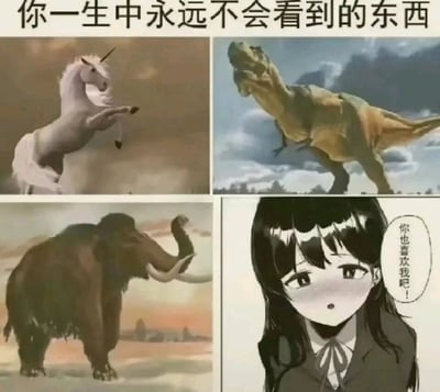 这是一张四格拼接的搞笑自嘲梗图，顶部配有文字“你一生中永远不会看到的东西”。前三格分别展示了三类现实中无法见到的生物：左上是仅存在于传说中的独角兽，呈前蹄抬起的姿态；右上是已灭绝的史前生物霸王龙；左下是同样已灭绝的史前生物猛犸象。第四格则是一位脸颊泛红、眼神带着羞涩与期待的动漫黑发女高中生，她的对话框中写着“你也喜欢我吧！”。图片通过将“被异性主动告白”与传说生物、灭绝生物归为同一类，用夸张的类比手法，自嘲这类场景对自己而言如同见到传说或已灭绝生物一样遥不可及，精准戳中单身群体的处境，充满幽默的调侃意味。