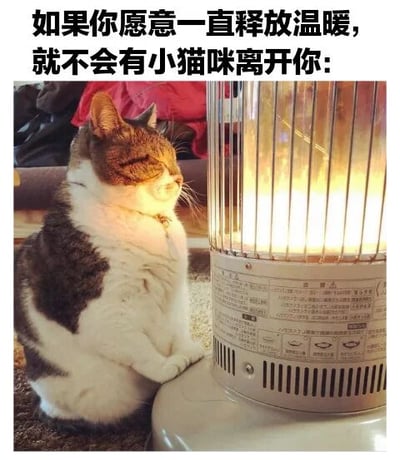 图片中一只棕白相间的猫咪正坐在取暖器旁，双眼微闭，表情放松满足，享受着取暖器散发的温暖。图片上方配有文字：“如果你愿意一直释放温暖，就不会有小猫咪离开你：”。整体营造出温馨治愈的氛围，通过猫咪依赖温暖的场景，隐喻只要持续付出关爱，就能留住身边的美好（此处以小猫咪为象征）。