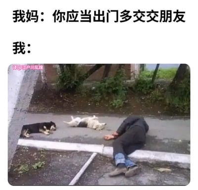 这张梗图分为上下两部分。上方是文字：“我妈：你应当出门多交交朋友 我：”，下方配图则是一名男子和两只狗趴在路边的人行道上，看起来都非常颓废和疲惫。通过对比，营造出一种自嘲、躺平、社交无力的幽默。此梗图用形象的画面表达了“试图社交但最后只能和流浪狗一起躺倒”的自嘲心态，非常适用于社恐、懒人或不爱社交的人用作表达自我。