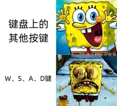 图片左侧为文字说明区域，上方文字为“键盘上的其他按键”，下方文字为“W、S、A、D键”；右侧为两张海绵宝宝的对比图片。上方海绵宝宝双眼圆睁，咧嘴大笑，双手兴奋举起，显得精神饱满；下方海绵宝宝则双眼无神，脸上沾有污渍，表情疲惫不堪，周围还有散落的垃圾。通过海绵宝宝截然不同的两种状态，幽默地比喻了键盘上不常用的其他按键（状态良好）与游戏中频繁使用的W/S/A/D键（因过度使用而“疲惫”）之间的差异。