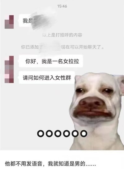 这是一张结合聊天记录和表情包的搞笑图片。上方显示聊天界面，有人发送消息称"你好，我是一名女拉拉，请问如何进入女性群"。图片右下角是一只表情疑惑的白色狗狗，下方配有文字"他都不用发语音，我就知道是男的......"，通过狗狗的表情和文字形成幽默讽刺效果，暗示对方的身份可疑。
